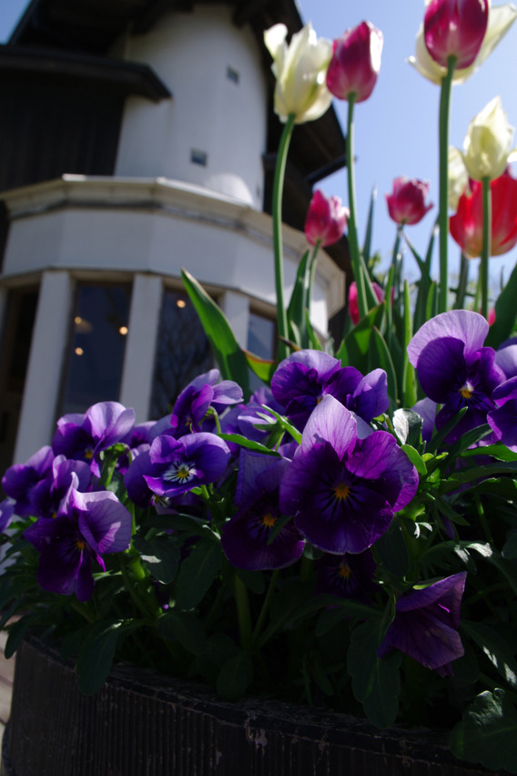 at CAVE D'OCCI WINERY