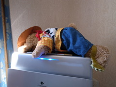 新鮮な空気を求めて