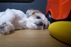 とっても気になります