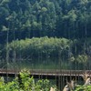 湖畔の静寂