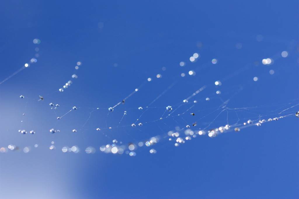 雨上がり