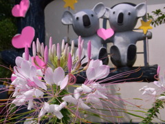 お幸せに