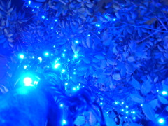 Light up