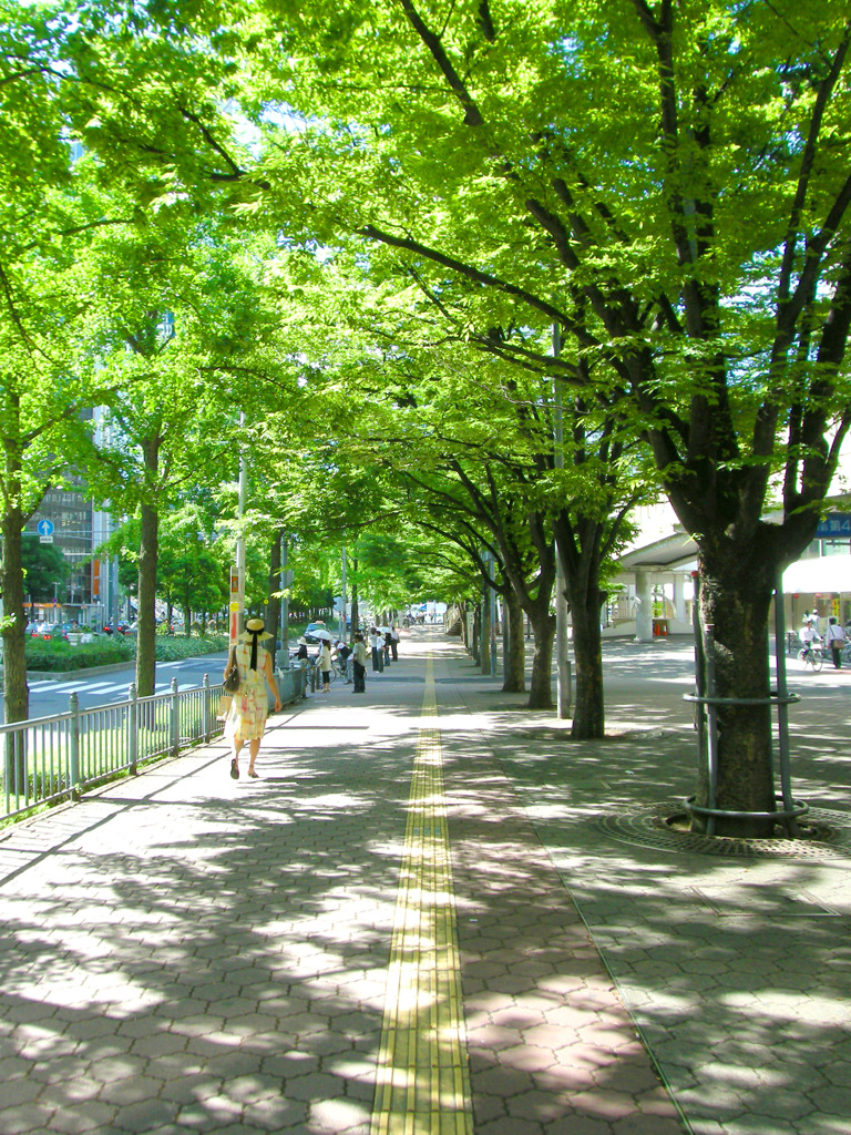 summer walk
