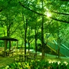 green court