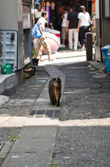 ついてくんな