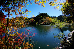 段戸湖の秋