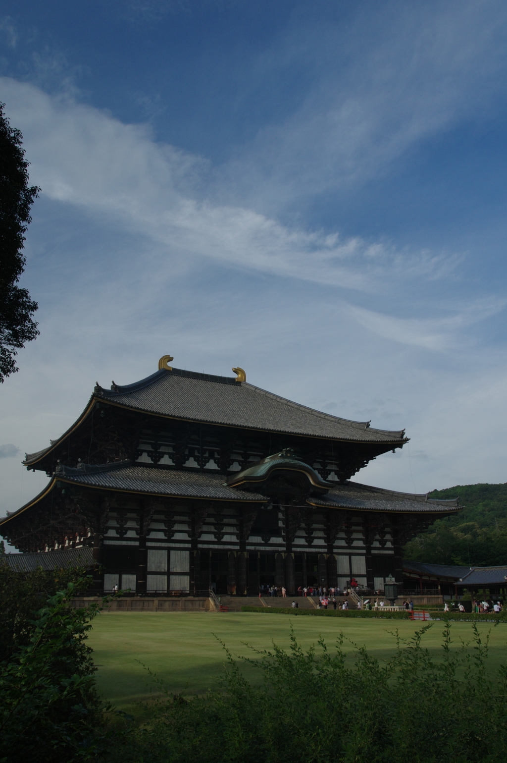IMGP7333