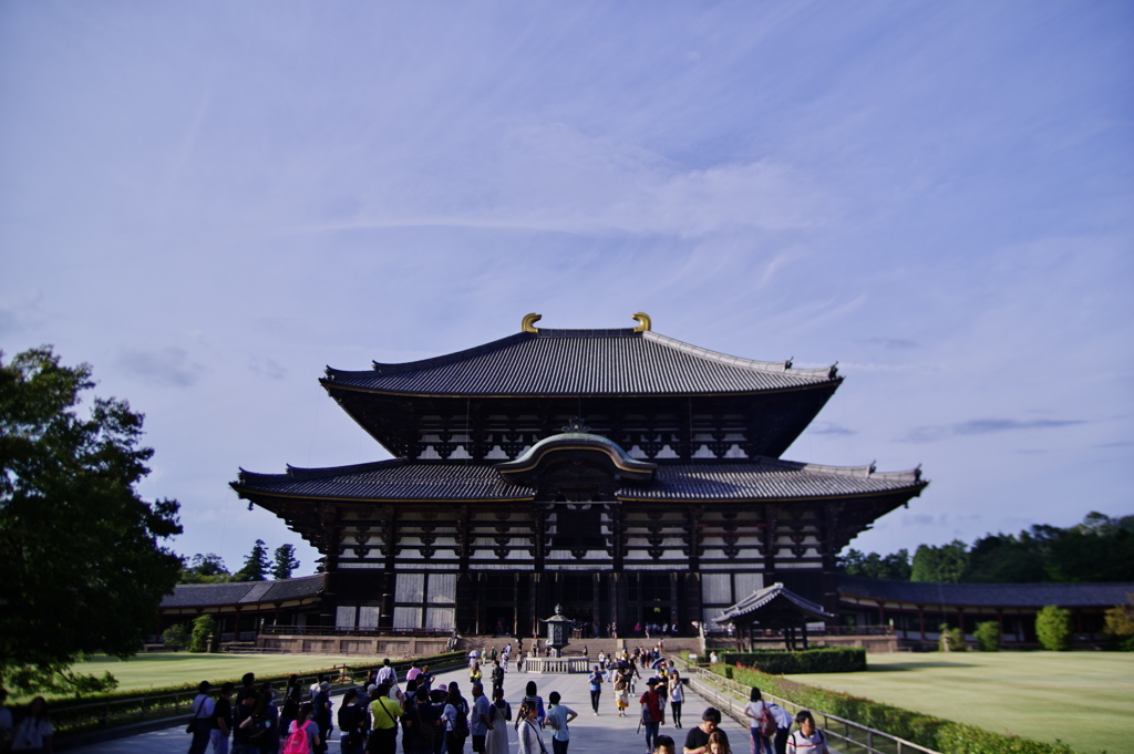 IMGP7349