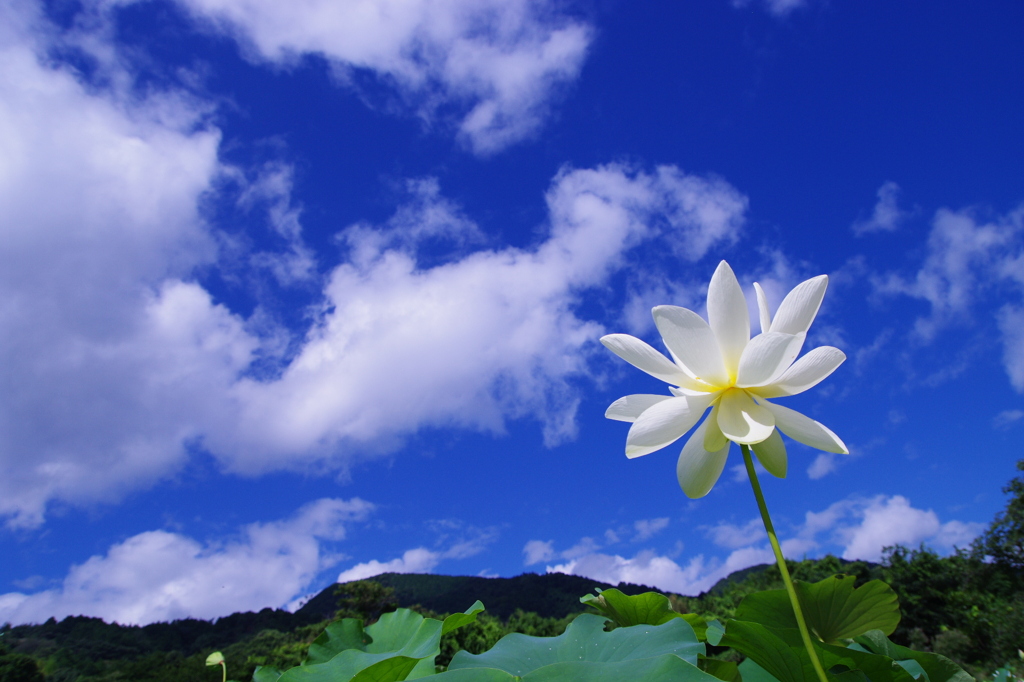 梅雨明け