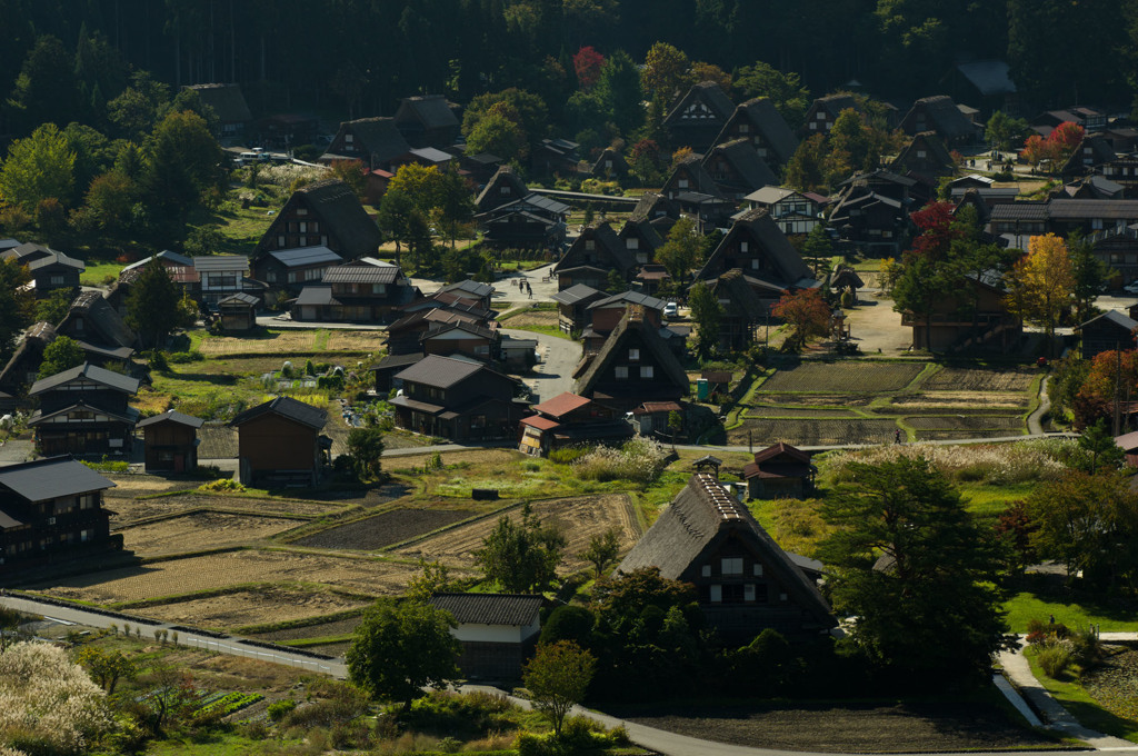 山里