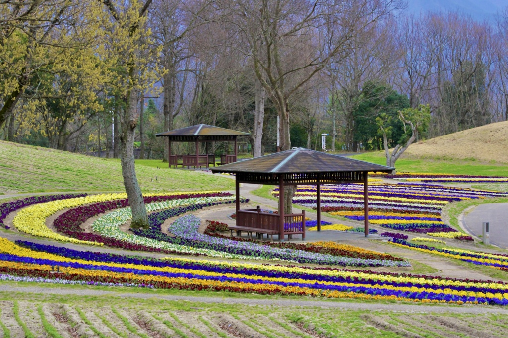 まんのう公園
