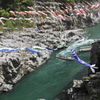 5月の大歩危