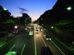 R0011007