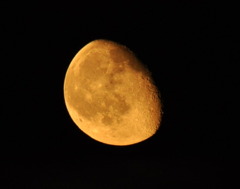 CSC_1349