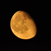 CSC_1349