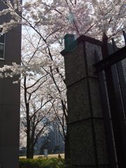 散らさないで・・・