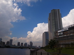 R0011466