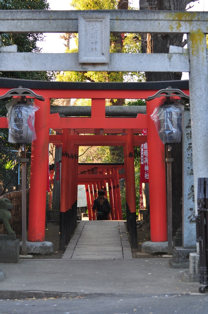 朱