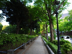 R0010238