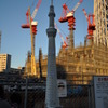 東京スカイツリー（模型）