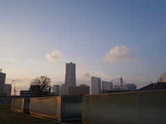 R0011817