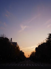 R0011835