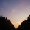 R0011835