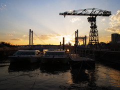 R0011415