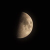 CSC_2962