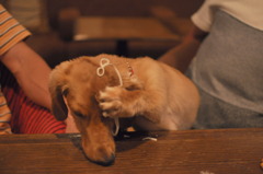 どうもすいません