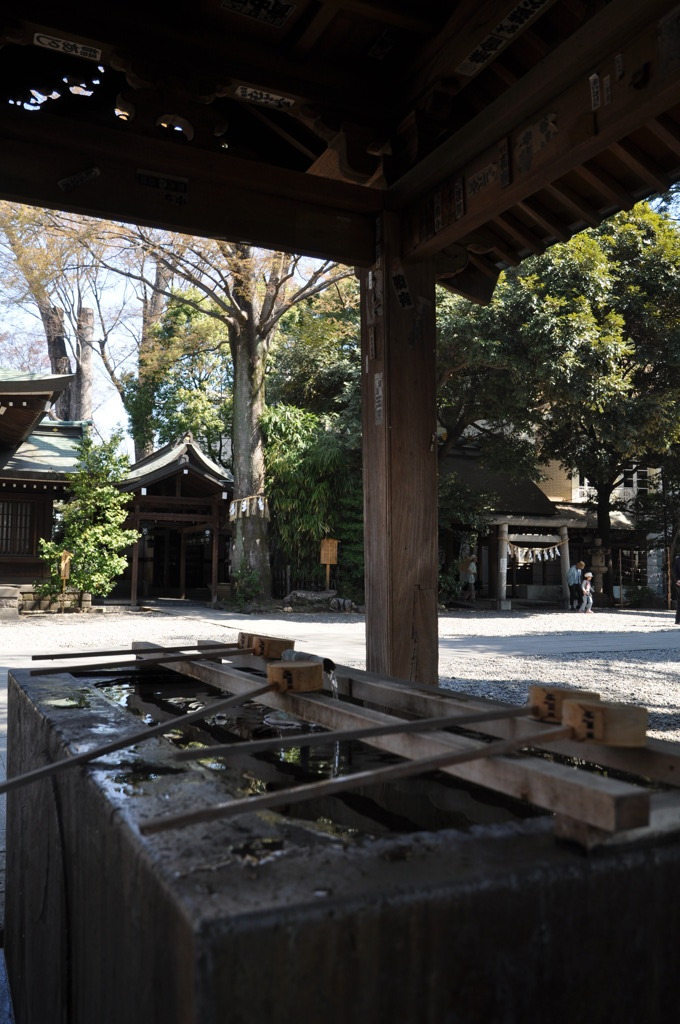 川越＠氷川神社
