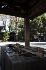 川越＠氷川神社