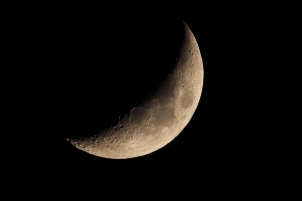 CSC_3115