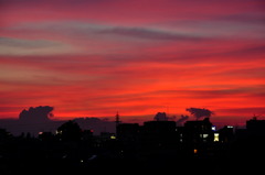CSC_0367