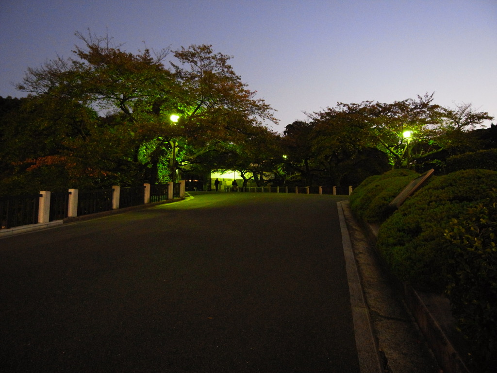R0011009