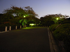 R0011009