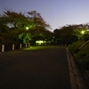 R0011009