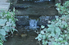 DSC_2765