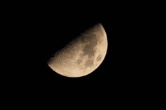 CSC_2968
