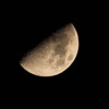 CSC_2968