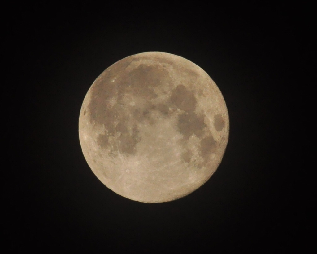 CSC_0633