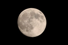 CSC_2977