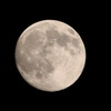 CSC_2977