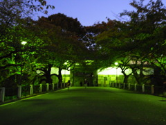 R0011015