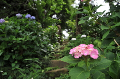 抜け道
