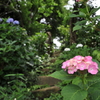抜け道