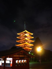 R0011219