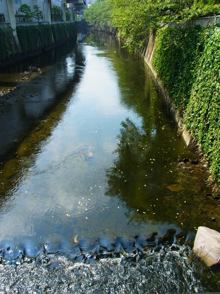 R0010186