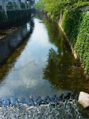 R0010186